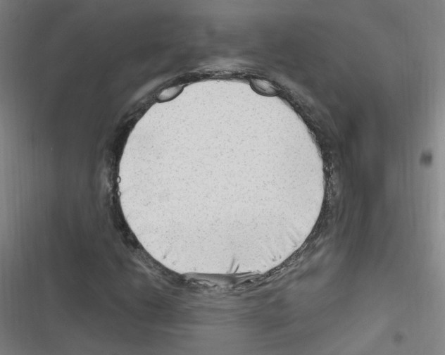 X0000116641206201001251129