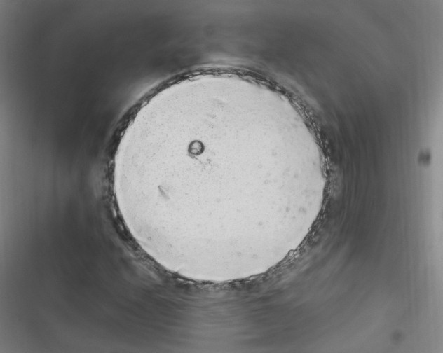 X0000116641208201001251129