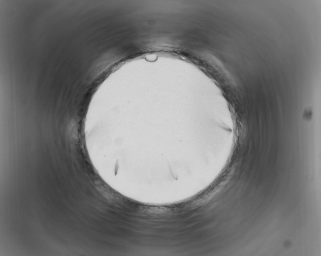 X0000116641209201001251129