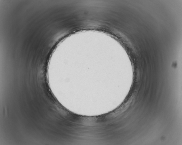 X0000116641210201001251129