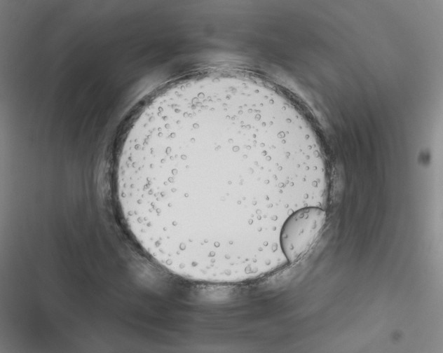 X0000116641211201001251129