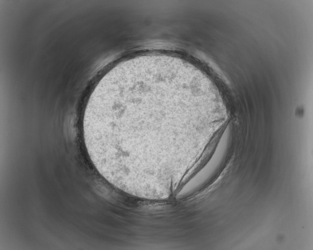 X0000116641213201001251129