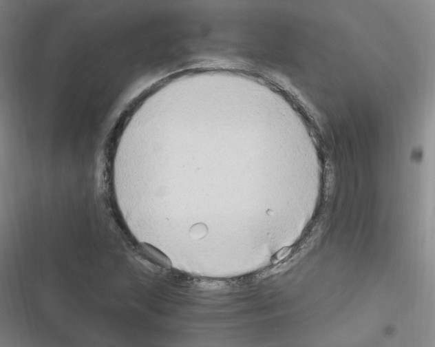 X0000116641215201001251129