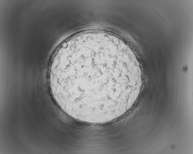 X0000116641216201001251129