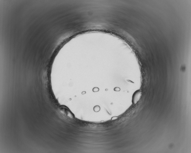 X0000116641218201001251129