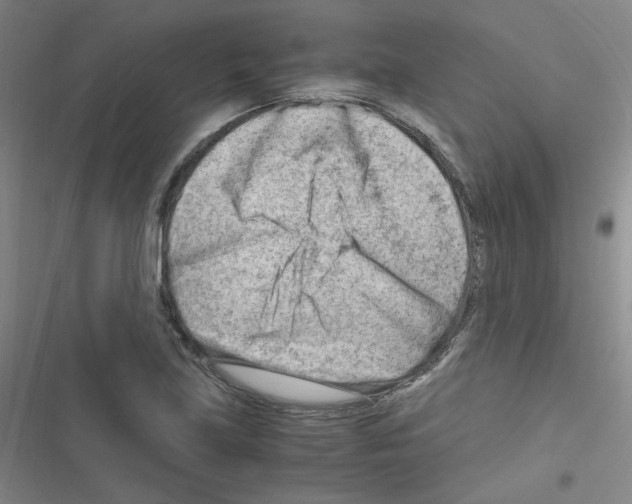 X0000116641219201001251129