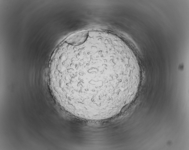 X0000116641220201001251129