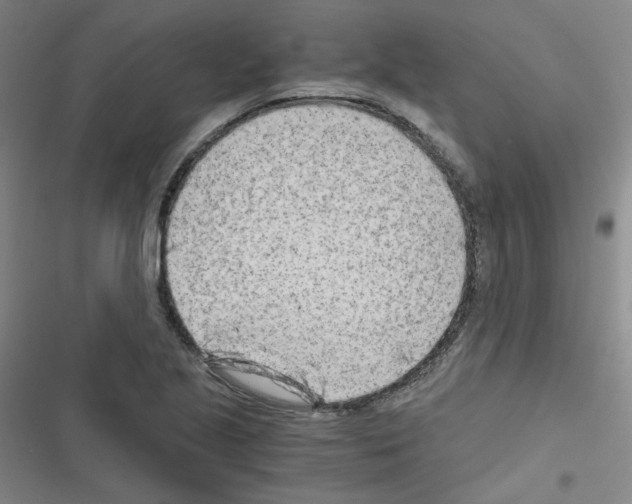 X0000116641221201001251129