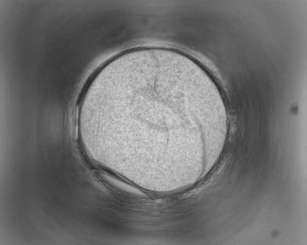 X0000116641223201001251129