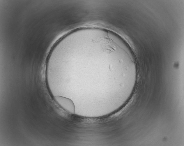 X0000116641224201001251129