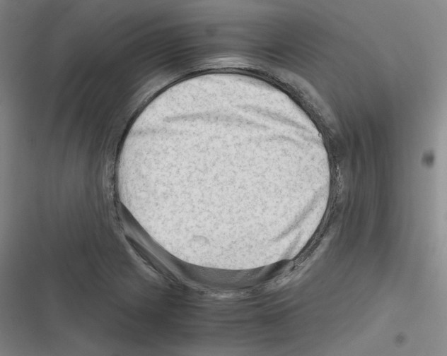 X0000116641225201001251129