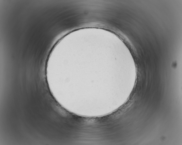 X0000116641230201001251129