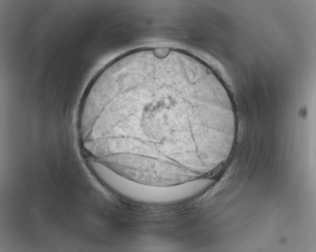 X0000116641231201001251129