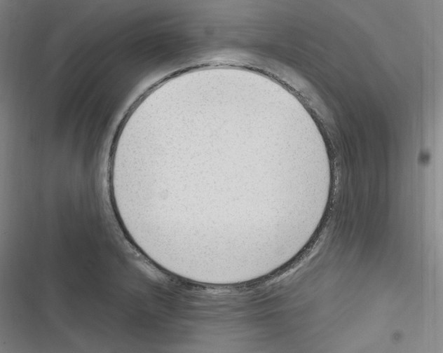 X0000116641232201001251129