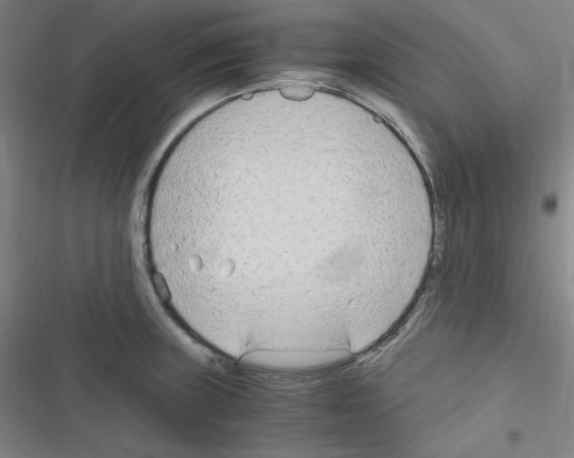 X0000116641235201001251129