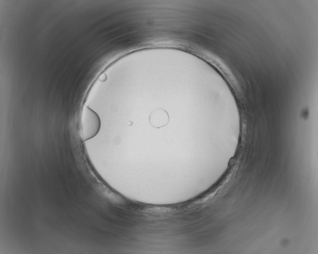 X0000116641236201001251129