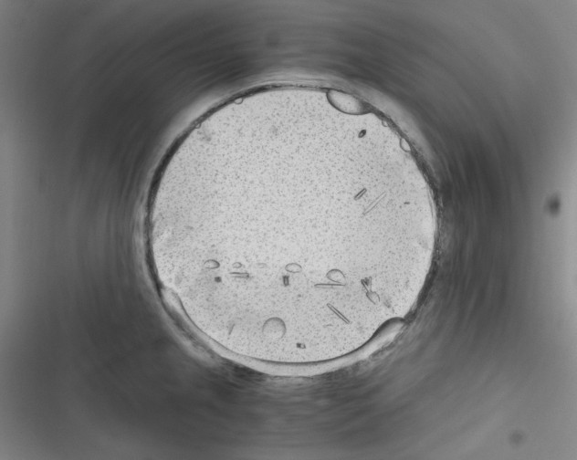 X0000116641237201001251129