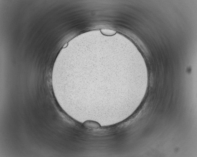 X0000116641241201001251129