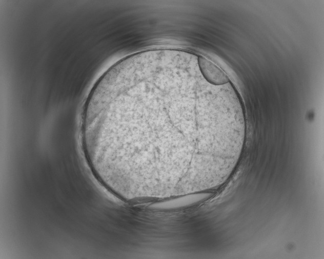 X0000116641243201001251129