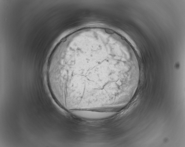 X0000116641245201001251129