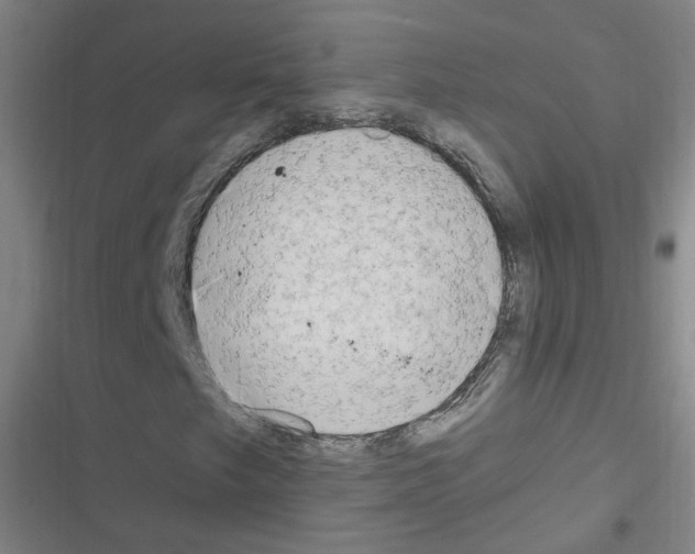 X0000116641249201001251129