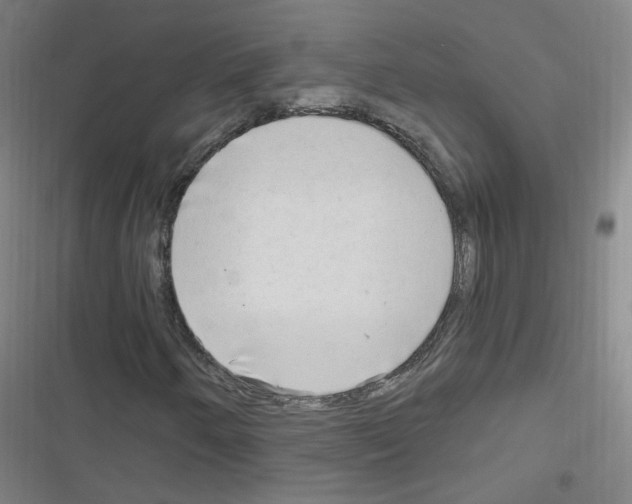 X0000116641250201001251128