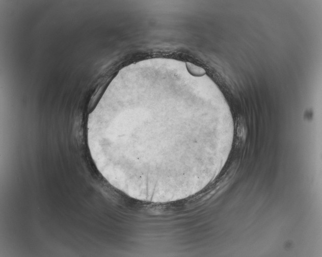 X0000116641252201001251128