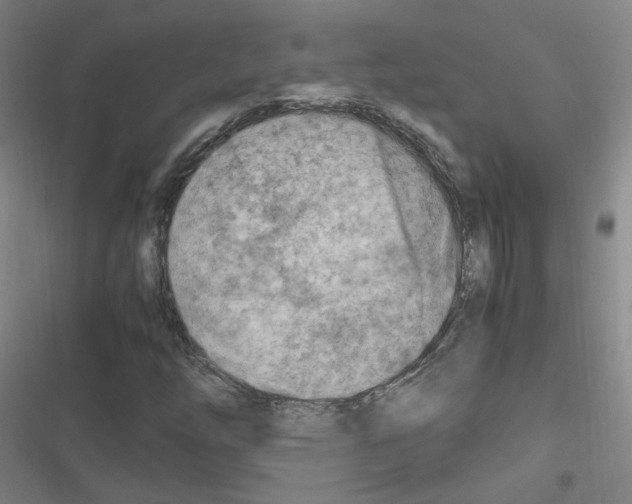 X0000116641254201001251128