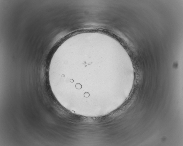 X0000116641259201001251128