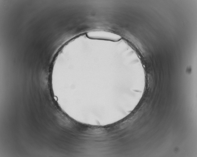 X0000116641260201001251128