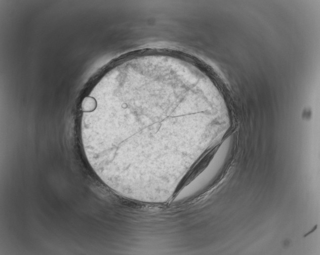 X0000116641263201001251128