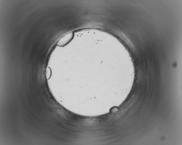 X0000116641268201001251128