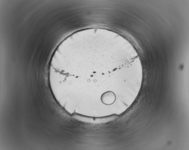 X0000116641284201001251128