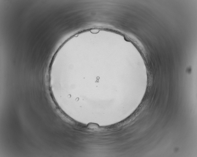 X0000116641287201001251128