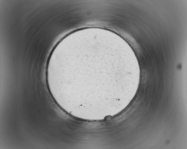 X0000116641288201001251128