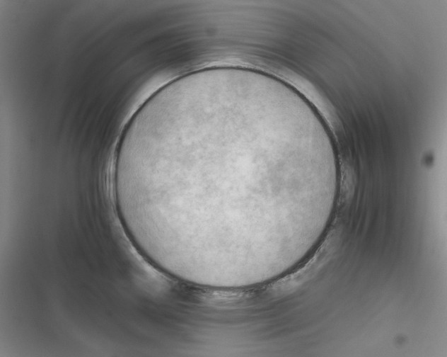 X0000116641290201001251128