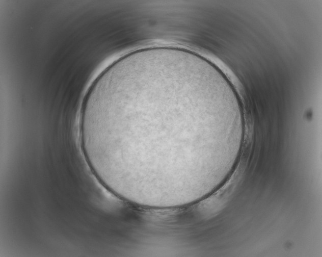 X0000116641294201001251128