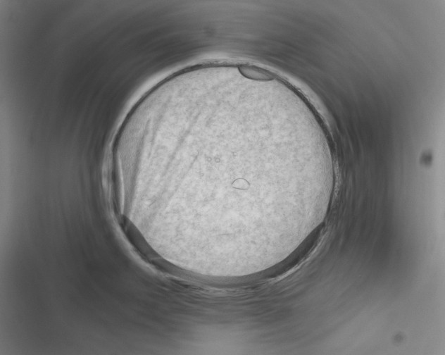 X0000116641295201001251128