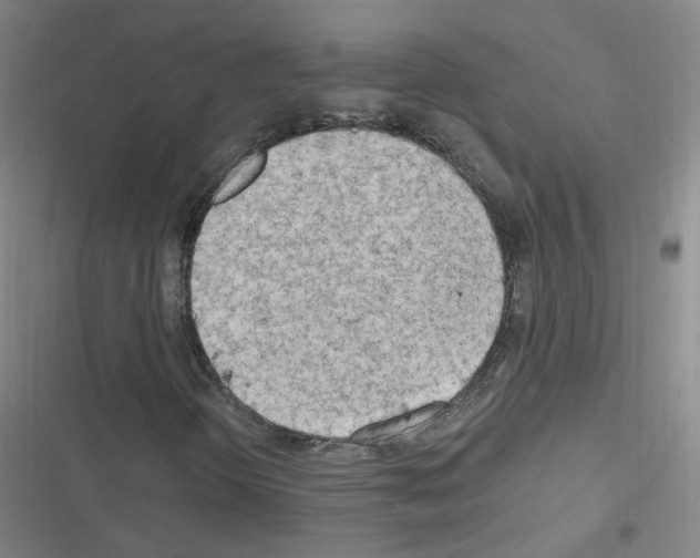 X0000116641298201001251127