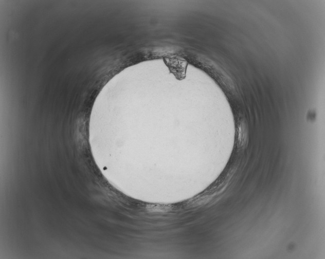 X0000116641299201001251127