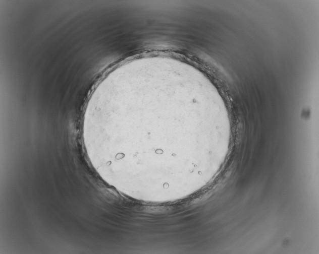 X0000116641305201001251127