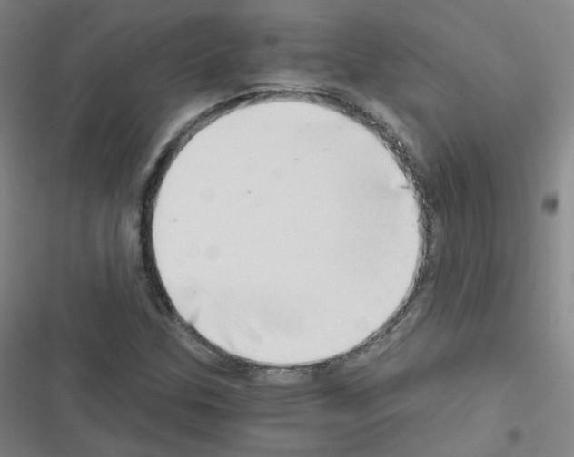 X0000116641307201001251127