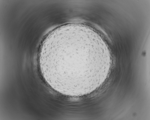 X0000116641315201001251127