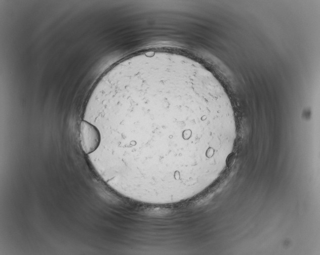 X0000116641321201001251128