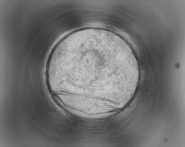 X0000116641331201001251128