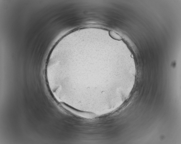 X0000116641333201001251128