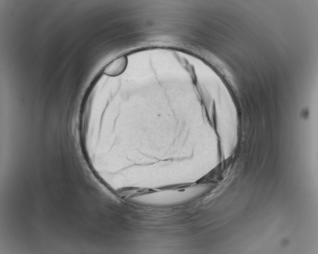 X0000116641334201001251128