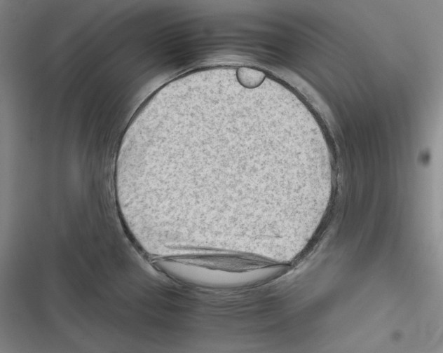 X0000116641337201001251128