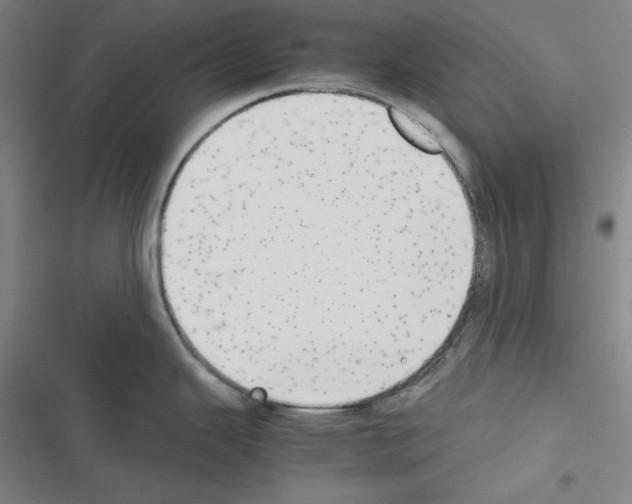 X0000116641343201001251128