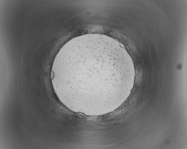 X0000116641345201001251127